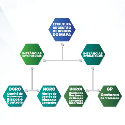 organograma estrutura 2020