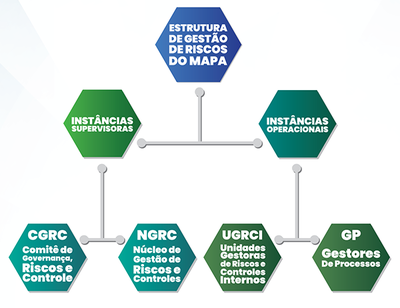 organograma estrutura 2020 600x462
