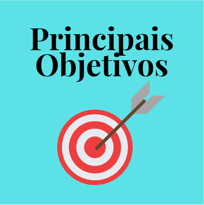 Principais objetivos.PNG