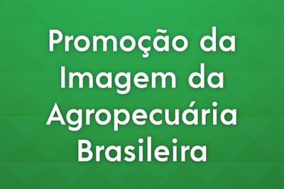Promoção da Imagem.jpg