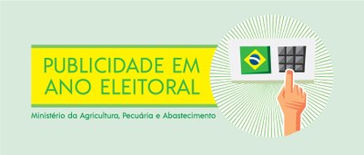 cabecalho-eleicoes.jpg