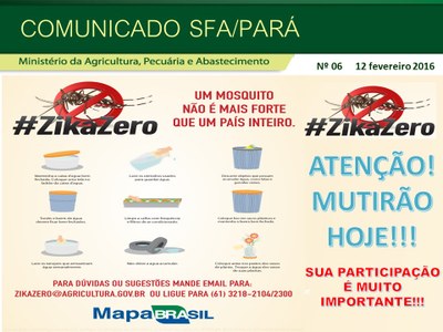 Comunicado SFA-PA Nº 06 - Mutirão começa _ZIKAZERO 12.02.2016.jpg