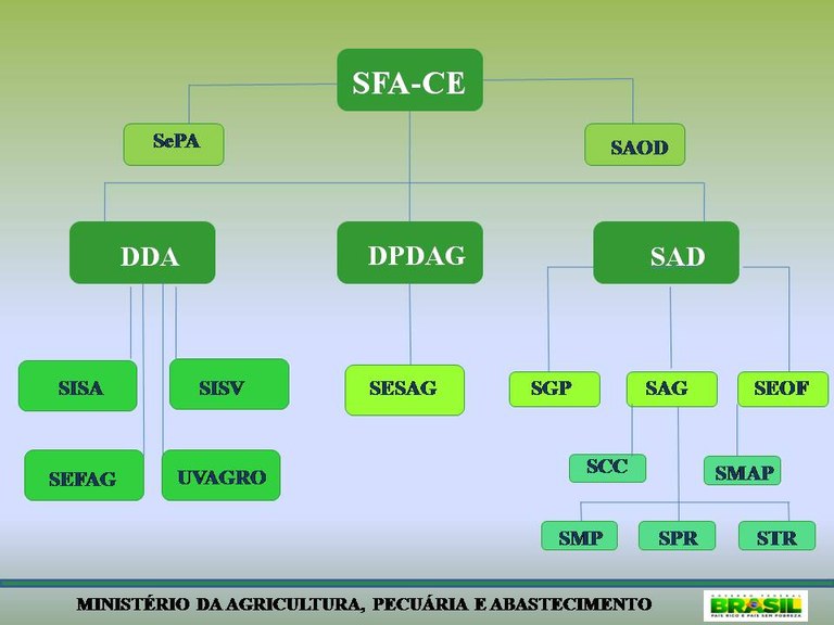 Organograma Extraoficial.jpg