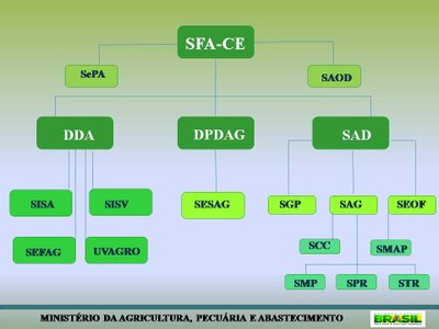 Organograma Extraoficial.jpg