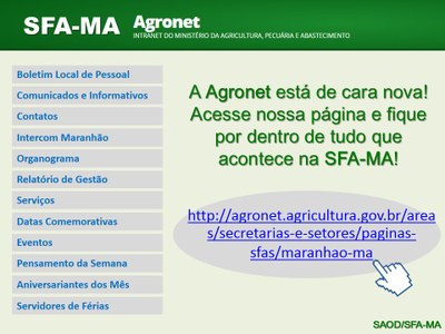 pensamento da semana 157.jpg